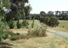 189 Berrilee Road, Orange