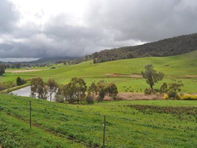 Beechworth-Wodonga Road, Wooragee