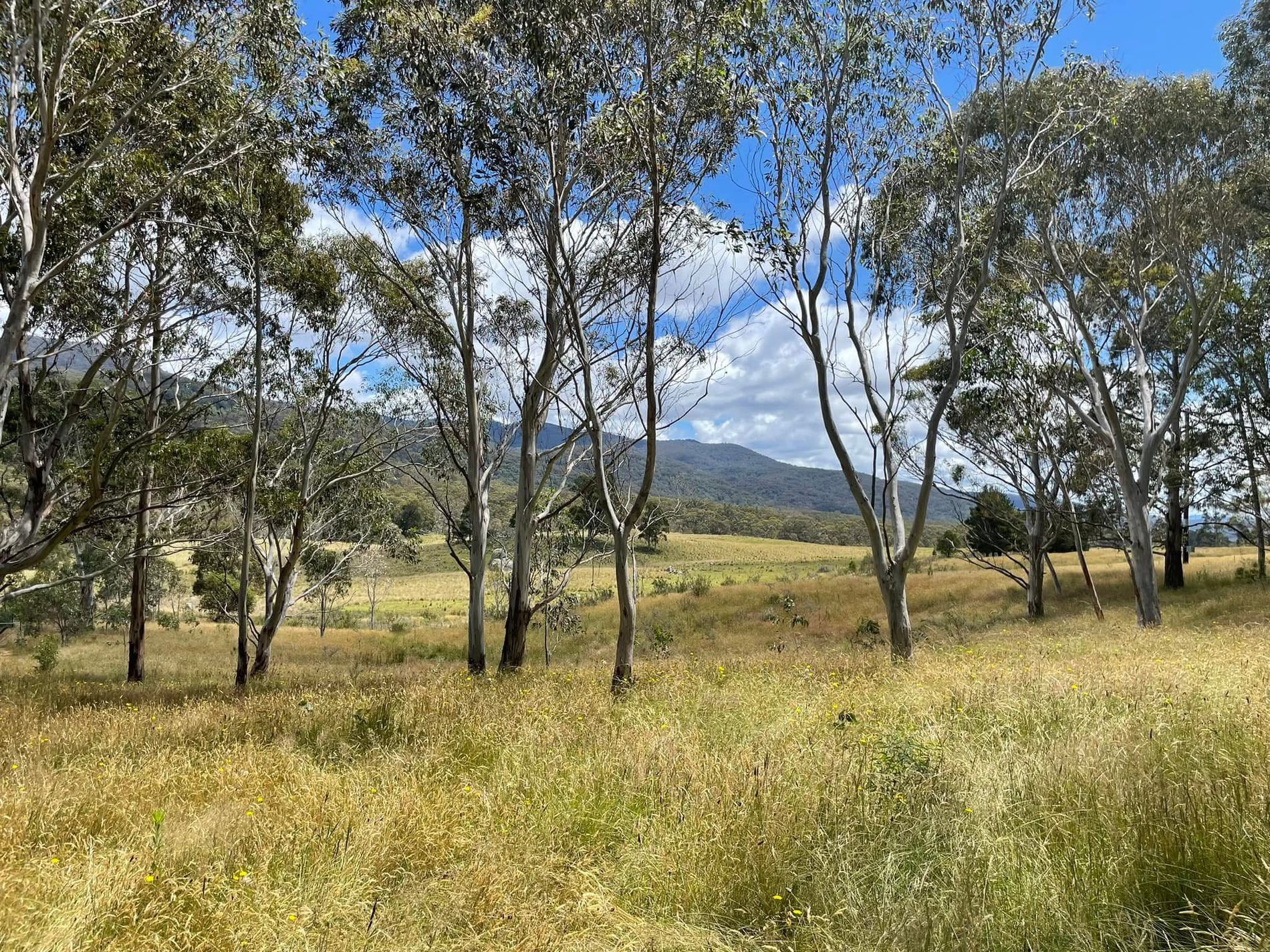 681 Hereford Hall Road, Hereford Hall via, Braidwood