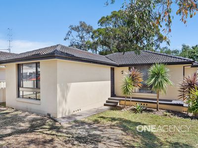 10 Figtree Street, Albion Park Rail