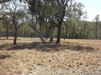 64 Iron Bark Road, Tenterfield