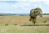Lot 100 Emu Swamp Road, Orange