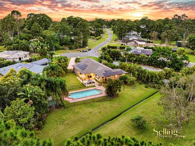 18 Timberlea Court, Helensvale