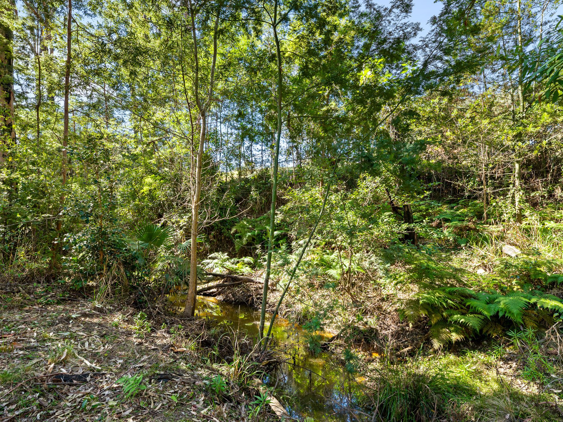 Lot 19, Worthy Drive, Malua Bay