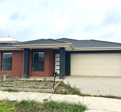 11 Clovis Avenue, Clyde North