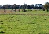 Lot 42, 46 Forest Road, Orange