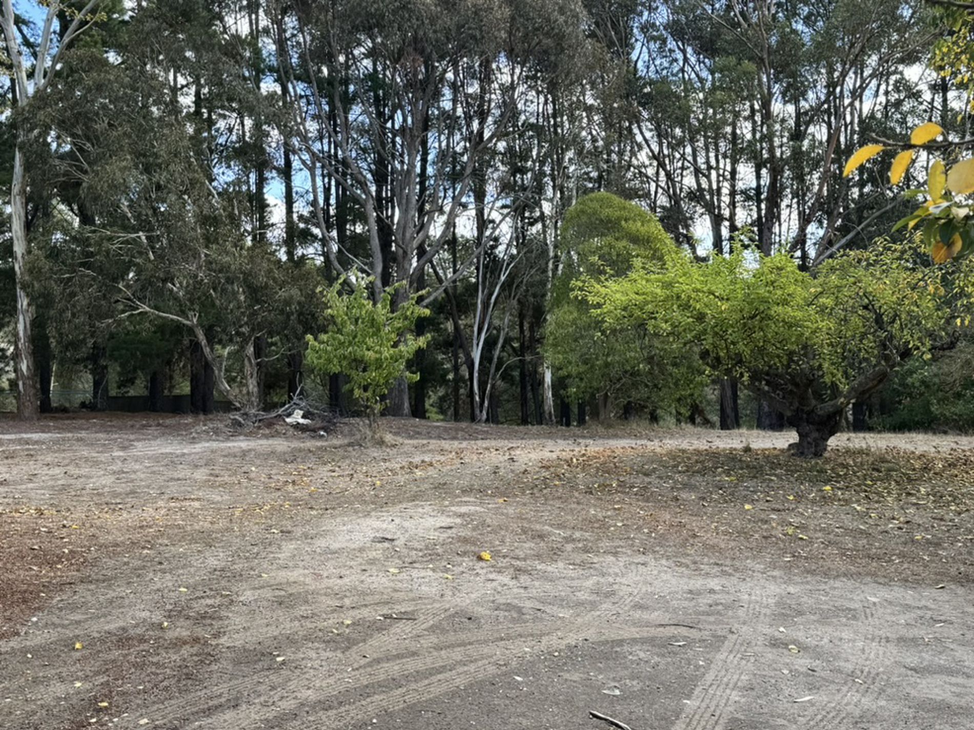 Creswick