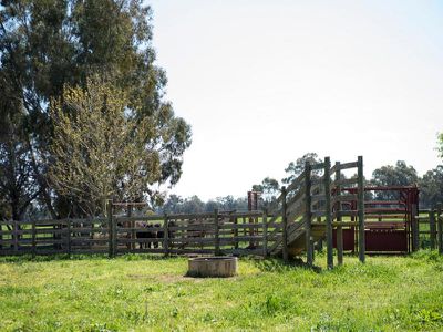 89 Hallens Road, Rutherglen
