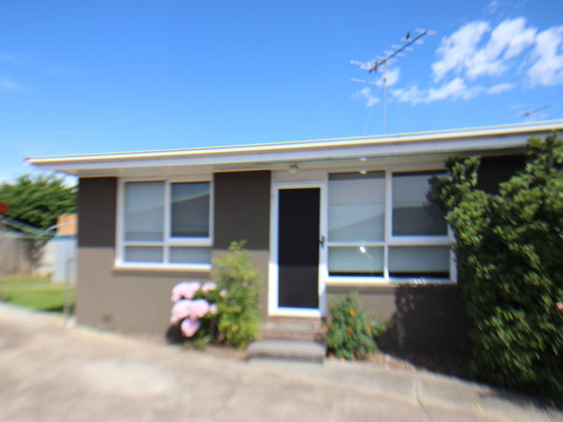 3 / 35 Clonard Avenue, Geelong West