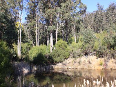 Lot 10, Lonnavale Road, Lonnavale