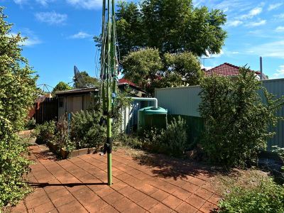19 Maloney Street, Rosebery