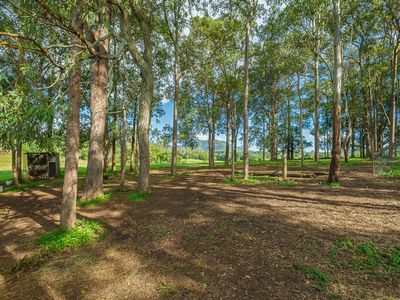 40 McGinn Road, Gheerulla