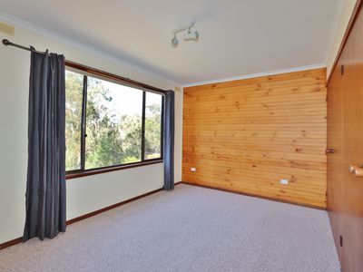66 Nadgee Road, Wonboyn