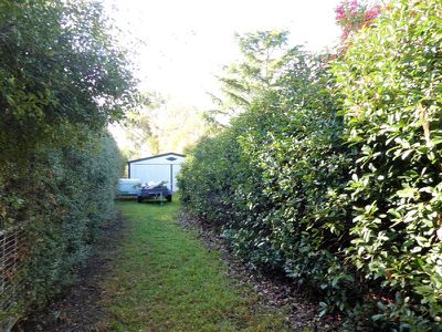 39 Shelton St, Avenel