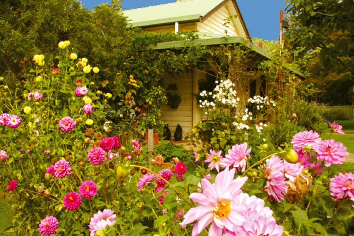 28 Brown Street, Jamieson