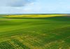 155 Claypans Road, Copeville