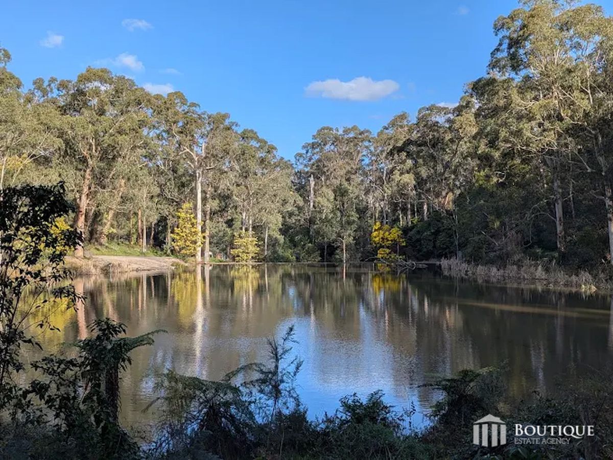 Lot 125-127, Mt Morton Road , Belgrave Heights