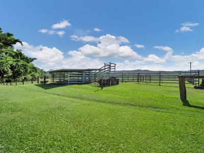 472 Miallo Bamboo Creek Road, Bamboo
