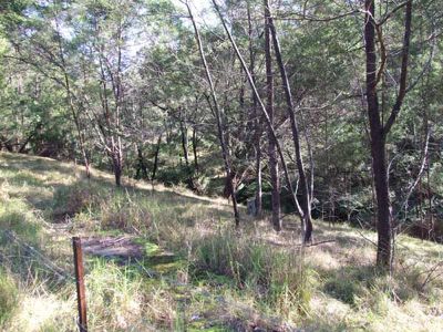 Lot Lot, 492 Mt Darragh Road, Lochiel