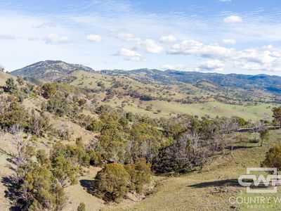 Lot 21 Halls Creek Road, Bendemeer