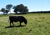 1495 Cargo Road, Orange
