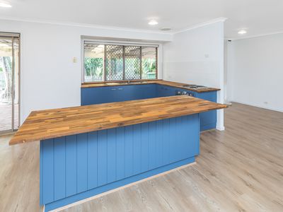 20 Wyara Court, Petrie
