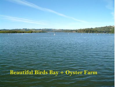 7 'Ridgeview Estate' Cupania Court, Tweed Heads West