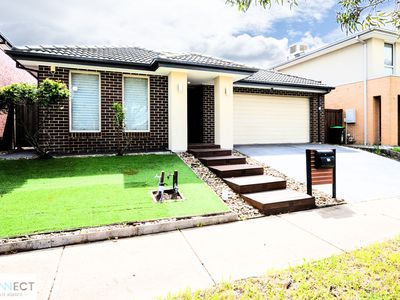 10 Water Fern Grove, Greenvale