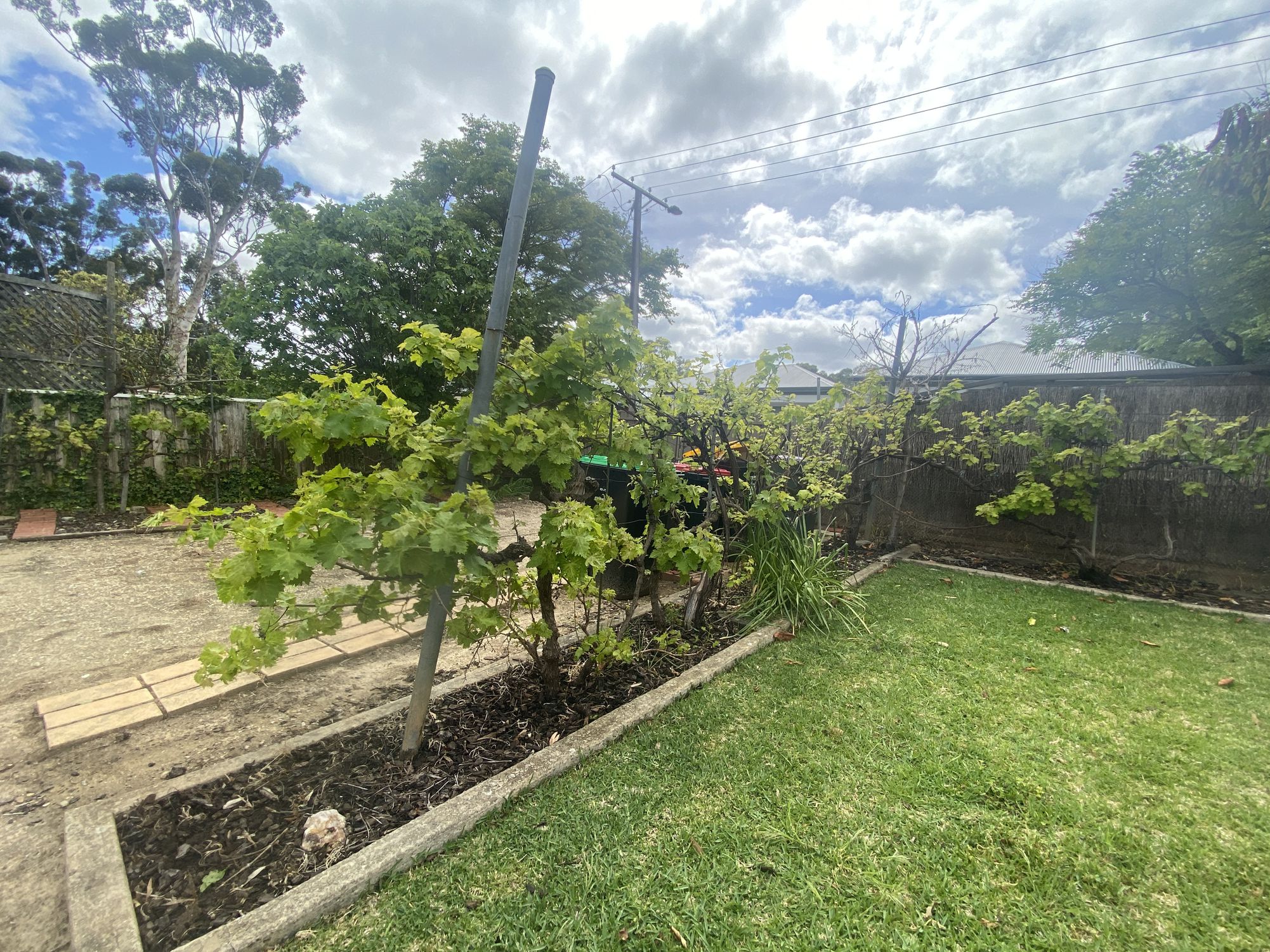 565 The Parade, Magill