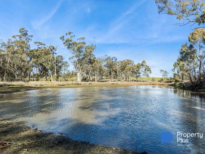 1 Keoghs Lane, Murphys Creek