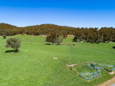 3724 Tallangatta Creek Road, Tallangatta Valley