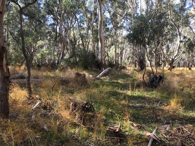 2 / Murray Road, Murrabit