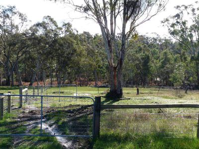 85 Coleraine Road, Balmoral