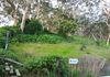 Back Valley