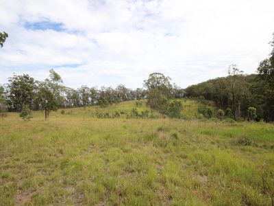 702 Comboyne Road, Byabarra