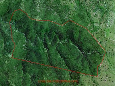 Lot 182 Reedy Creek Road, Tenterfield