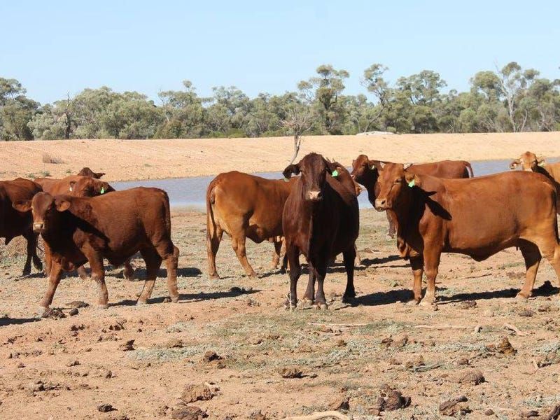 Cooladdi Resolute Property Group