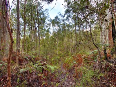 82 Pottery Road, Garden Island Creek
