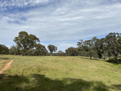 1830 Mount Hope Road, Coolah