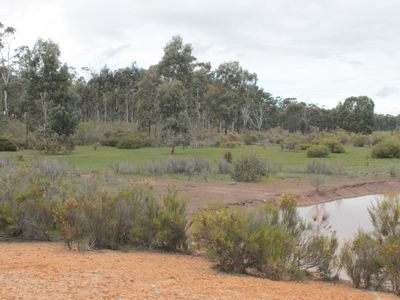 Lot 1  Tait Hamilton Road, Gobarup
