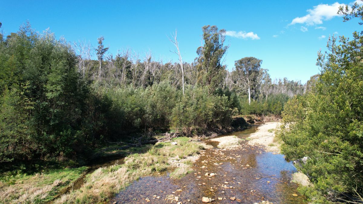 115 Gulph Creek Road, Nerrigundah