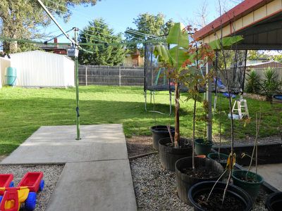 150 Anzac Ave, Seymour