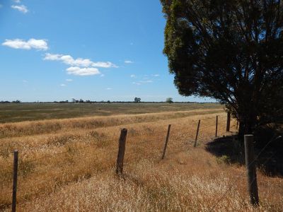 . Lilac Ave, Kerang