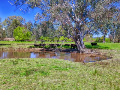 . Murray Valley Highway, Bonegilla