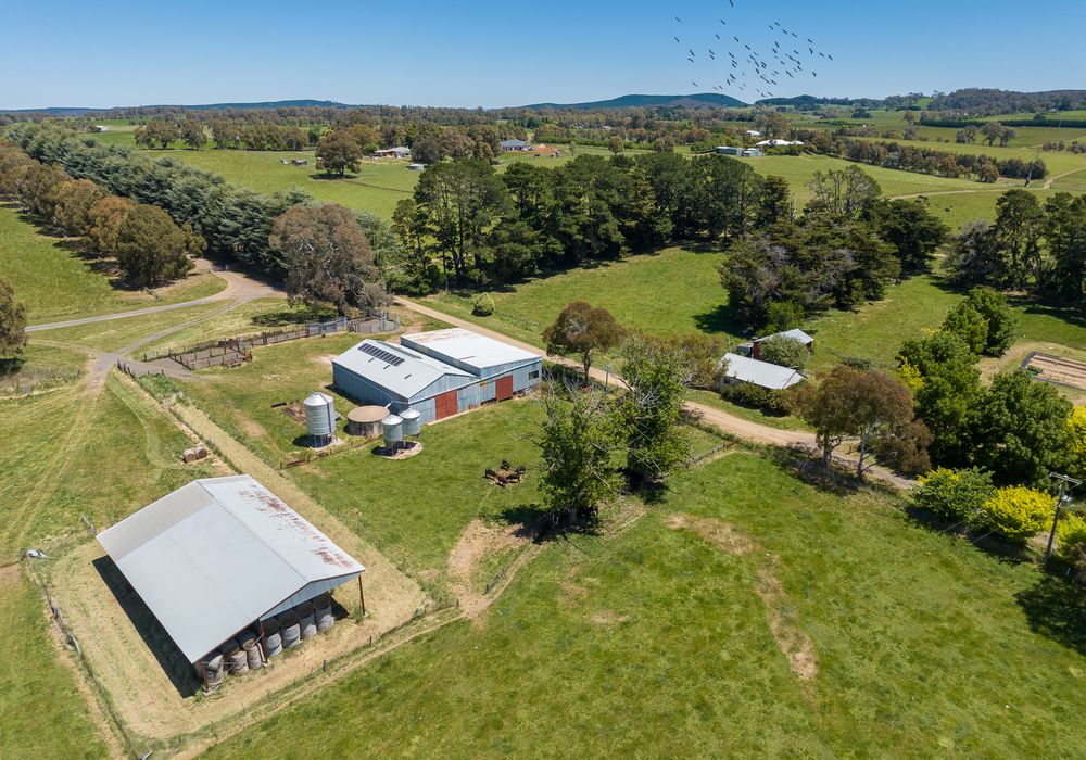 127 Orchard Road, Springside