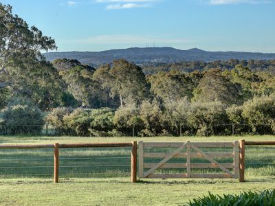 29 Rodert Road, Meadows