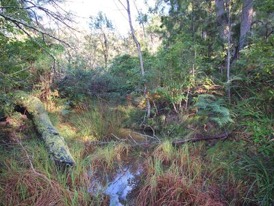 21 Landing Road, Pambula