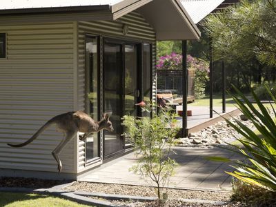 140C Narrawallee Creek Road, Lake Conjola