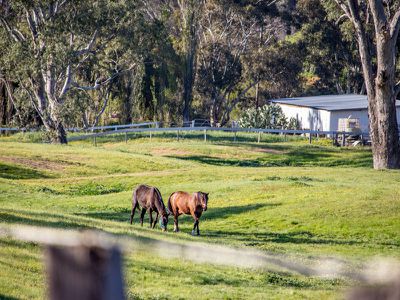 552 Upton Rd, Avenel