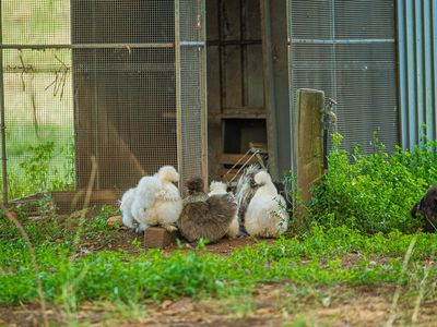 40 McGinn Road, Gheerulla